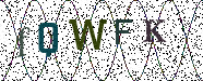 Visual Confirmation Security Code