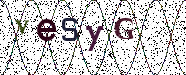Visual Confirmation Security Code